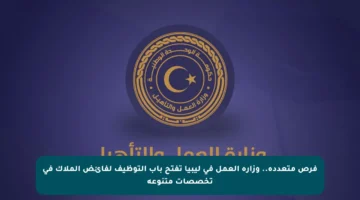 فرص متعددة.. وزارة العمل في ليبيا تفتح باب التوظيف لفائض الملاك في تخصصات متنوعة